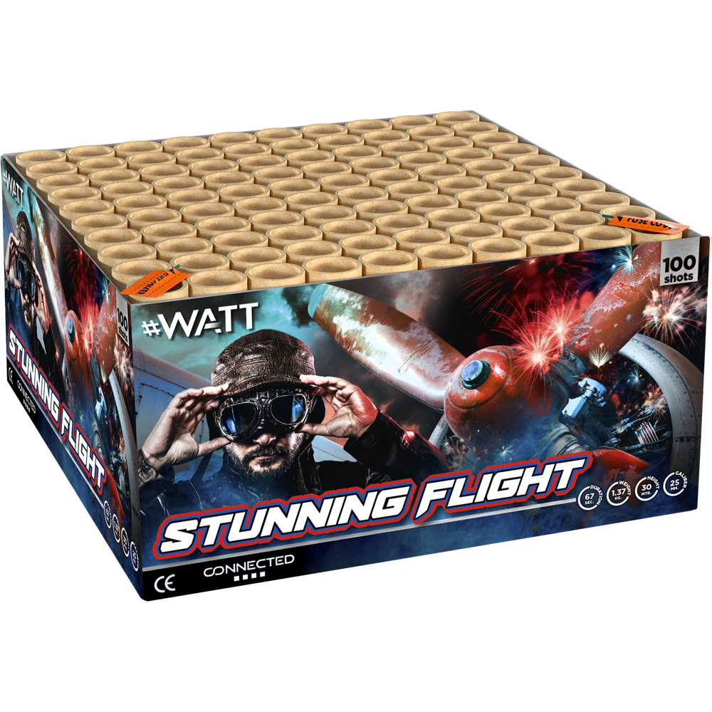 Stuning Flight