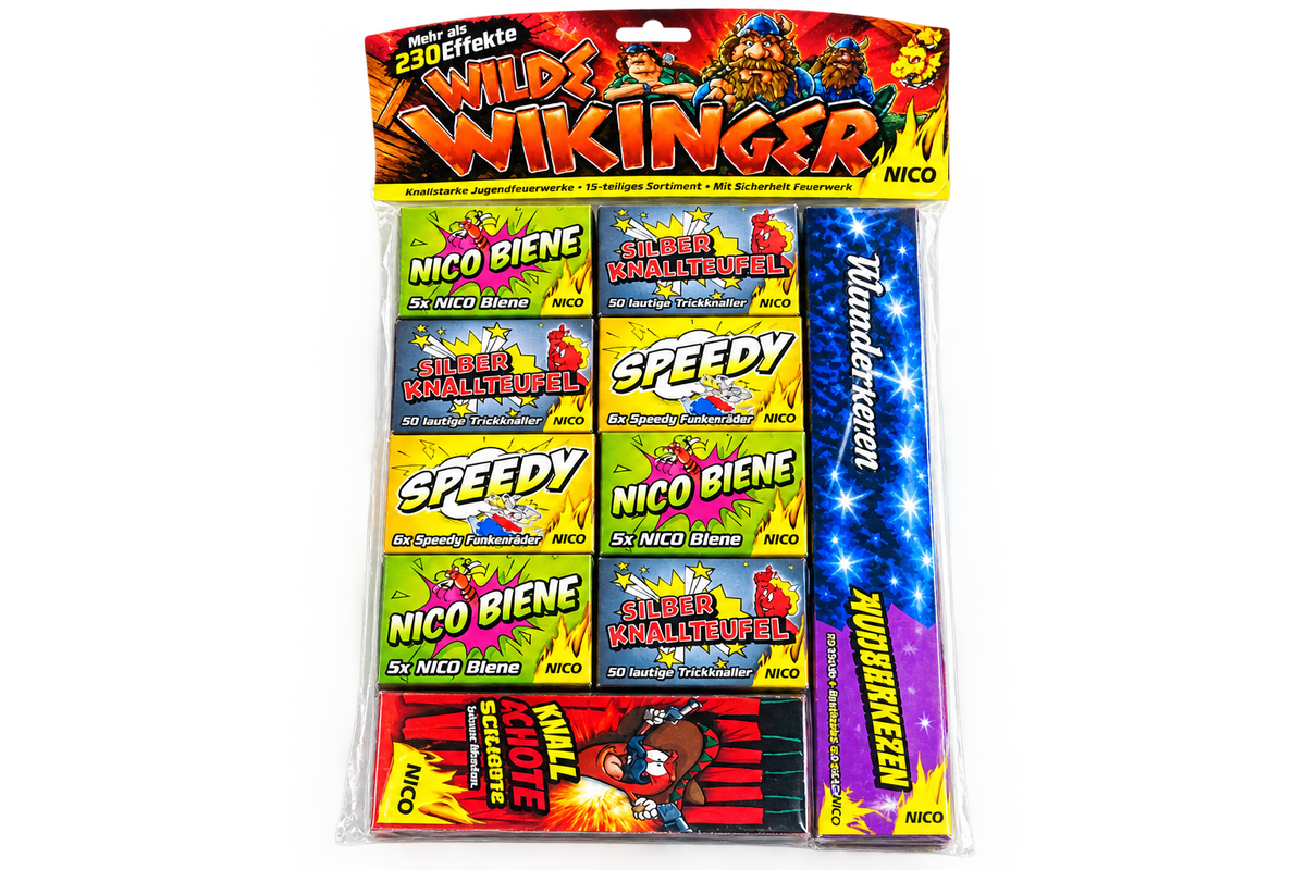 Wilde Wikinger